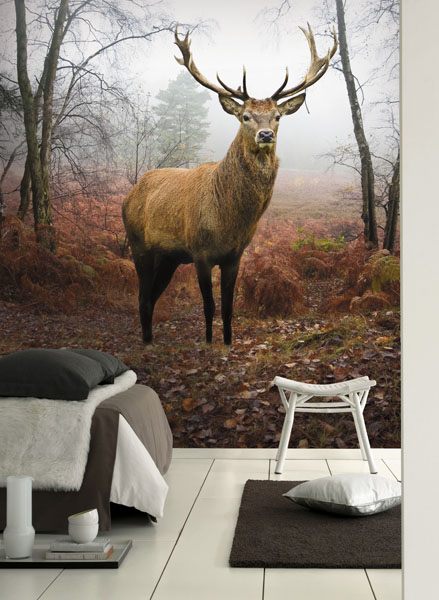 Fotomural Ciervo - Decoraciones Interiores